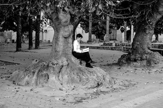 Black and white street photography, woman reading under shade of a tree, Mallorca, 2010