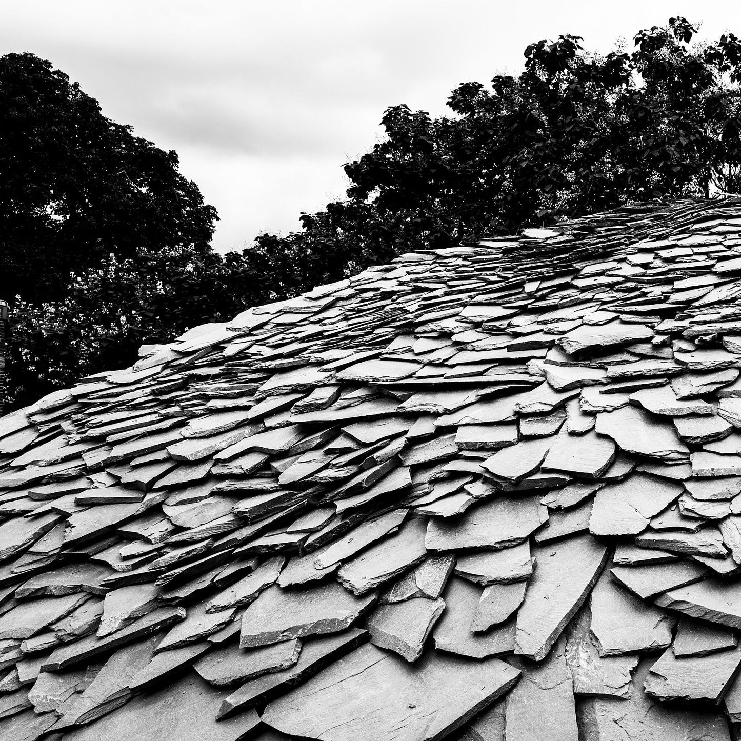 Black and White Architectural Photography. SERPENTINE PAVILION 2019, London, by Junya Ishigami