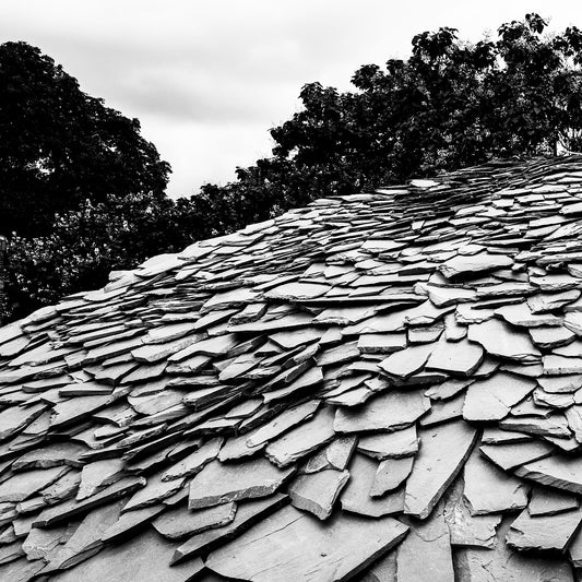 Black and White Architectural Photography. SERPENTINE PAVILION 2019, London, by Junya Ishigami