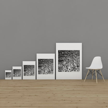 Architectural Fragment # 011