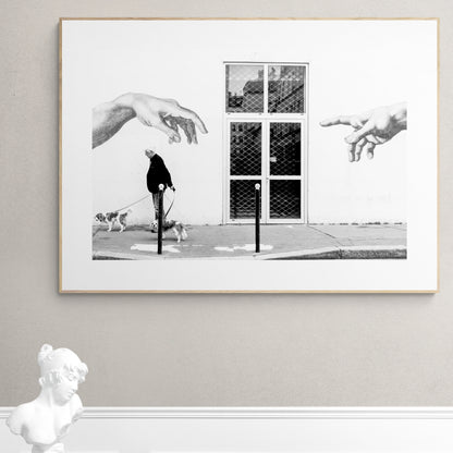 Paris, France. Man, 2 dogs, 2 hands. From Eric Schneider's 'Street' photography series. Black and white photography wall art for homes, offices, hospitals, hotels, restaurants bars and cafes. An extensive collection for collectors, art buyers, interior designers and individuals.