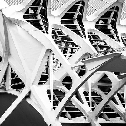 CITY OF ARTS AND SCIENCE, VALENCIA, SPAIN by Santiago Calatrava. Photography by © Eric Schneider Photography