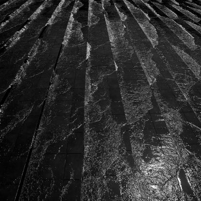 Black and white architectural photography. FONDATION LOUIS VUITTON, PARIS, FRANCE by Frank Gehry