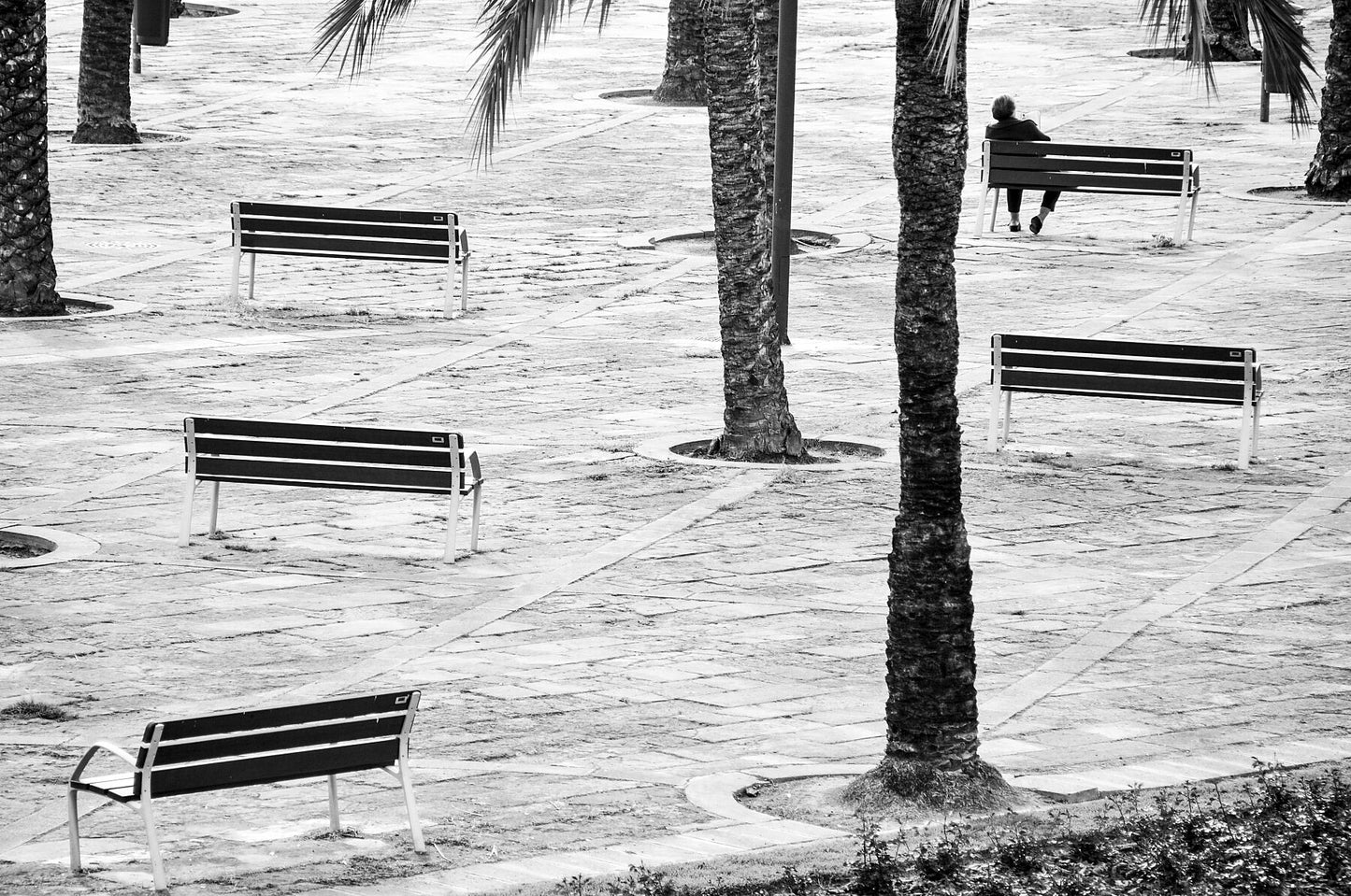 Black and white street photography, man on park bench, Mallorca, 2010